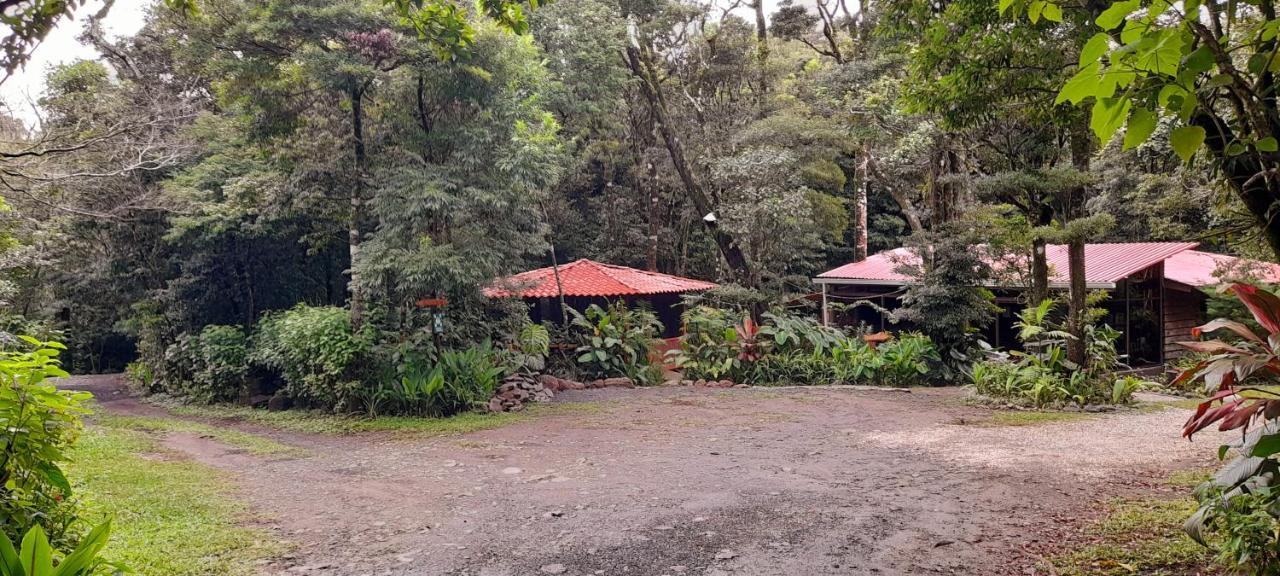 Cabanas La Montana Mountain Lodge Monteverde Buitenkant foto