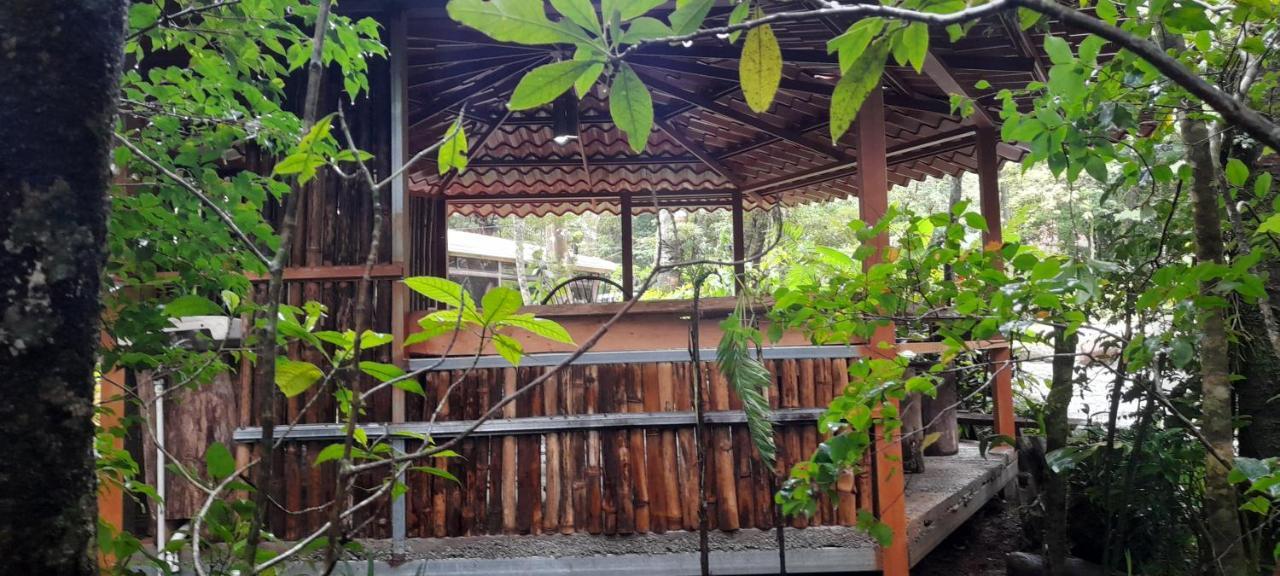 Cabanas La Montana Mountain Lodge Monteverde Buitenkant foto