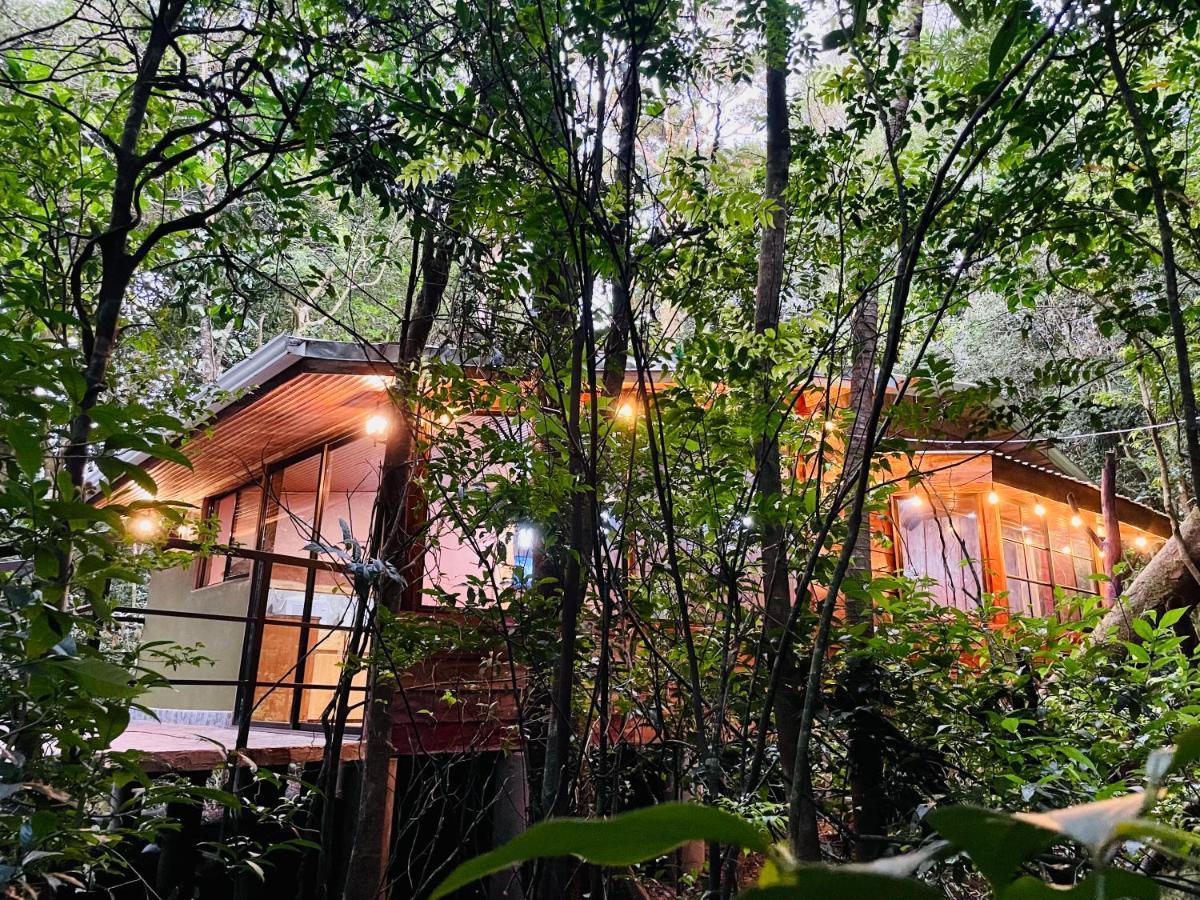 Cabanas La Montana Mountain Lodge Monteverde Buitenkant foto