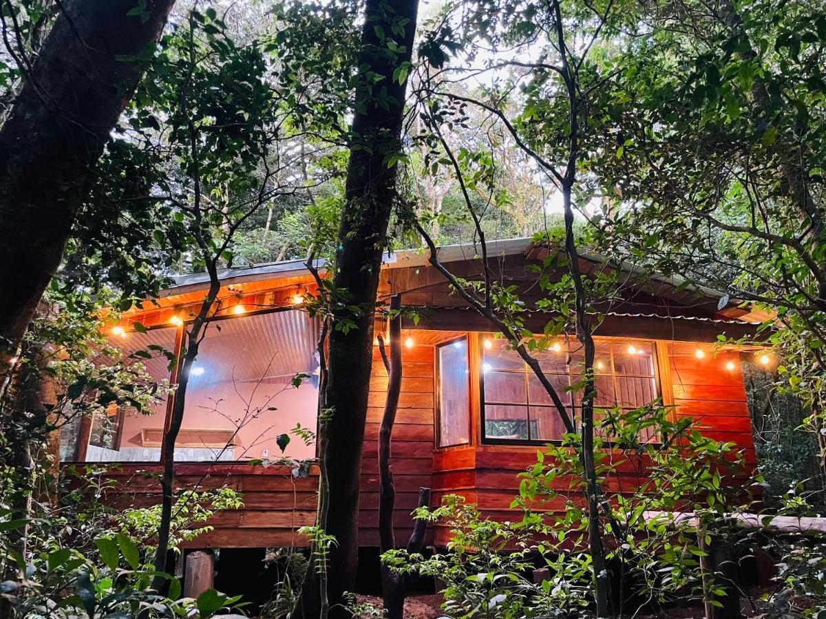 Cabanas La Montana Mountain Lodge Monteverde Buitenkant foto